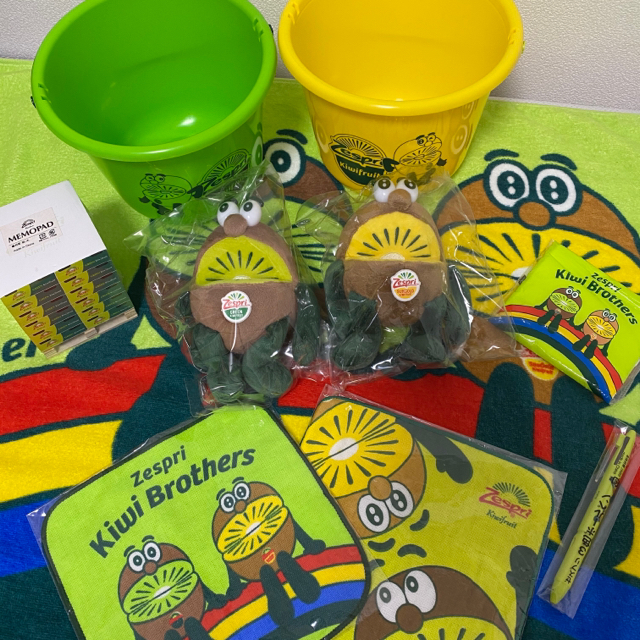 kiwi Object Detection Model by Satoka