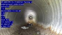 Consor data project thumbnail