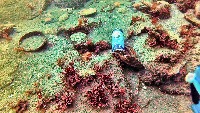 underwater objects project thumbnail