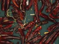 dried_red_pepper_detection_3 project thumbnail