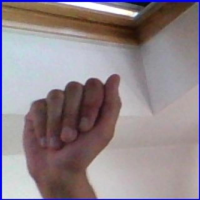 sign language recognition web app Object Detection Dataset by sust