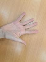 palms detection project thumbnail