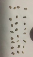 Green Coffee Bean Quality project thumbnail