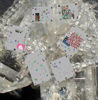 Dataset Image