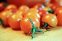 Tomato project project thumbnail