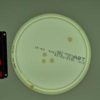 colony_counter3 project thumbnail