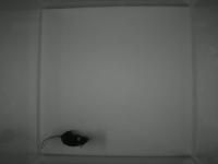 My First Project project thumbnail