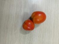 Tomatoes 2 project thumbnail