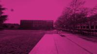 Object Detection 3 project thumbnail