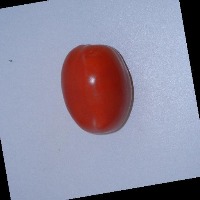 classification fresh tomato project thumbnail