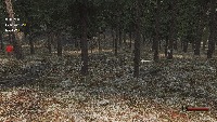 woodfind project thumbnail