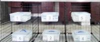 number project thumbnail