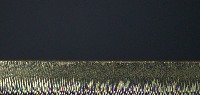 deneme project thumbnail