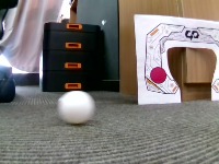 ugot_field_object_detection project thumbnail