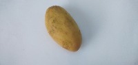 Mango project thumbnail