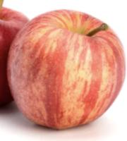 Fruits project thumbnail