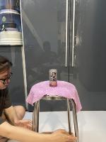 Dataset Image