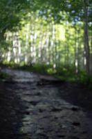 ground_truth project thumbnail