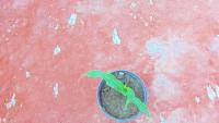 weed-crop-agent-clean project thumbnail