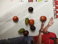 Dataset Image