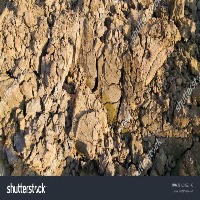 Soil Classification project thumbnail