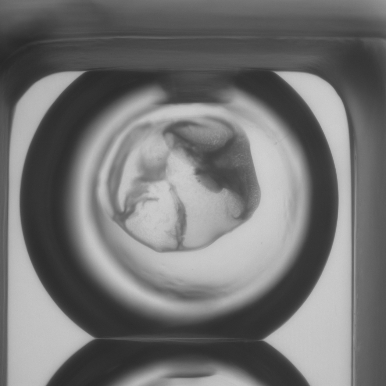 drops_public Object Detection Dataset by new-workspace-izl4z