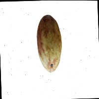 medium fresh guava project thumbnail