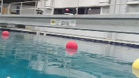SURF Buoys project thumbnail