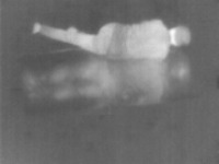 Thermal Human Detection project thumbnail