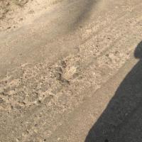 pothole-detection project thumbnail