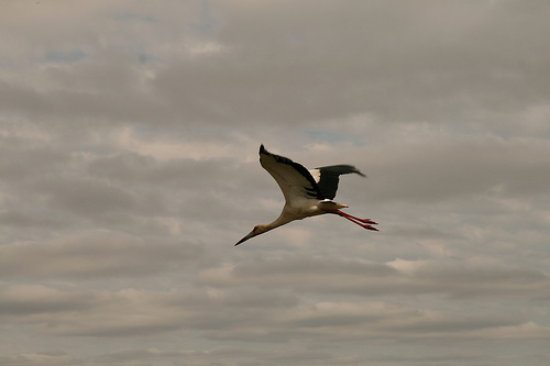 Lab 3 Roboflow Universe