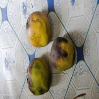 Fruit_Detection_System project thumbnail