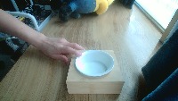 cat2 project thumbnail