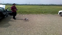 Dataset Image