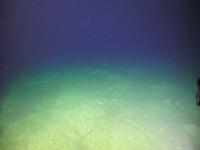 OceanCV Localization Transect project thumbnail