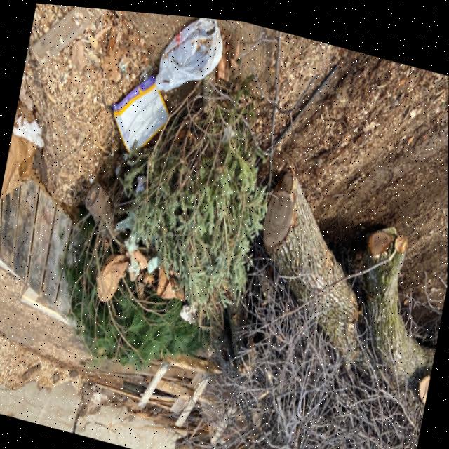 machine vision Object Detection Model by vision