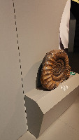 LKCNHM Recognition project thumbnail
