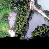 My bamboo Project project thumbnail