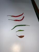 chili project thumbnail