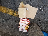 Dataset Image