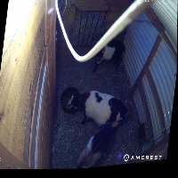 Dataset Image