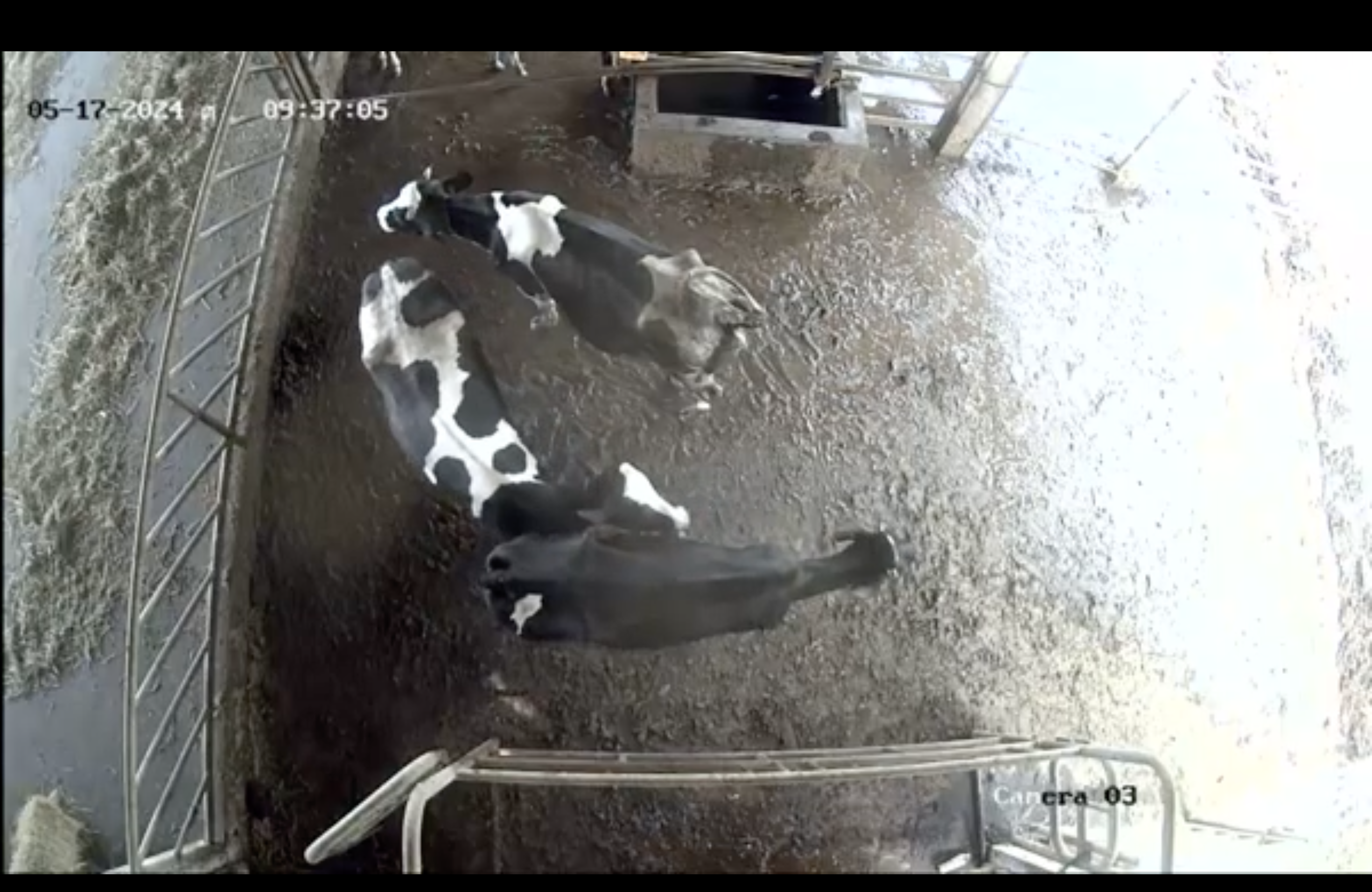 A3 NEW DATASET Object Detection Dataset by cowlabela02