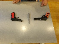 Dataset Image