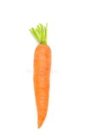 carrot project thumbnail