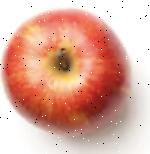 apple project thumbnail