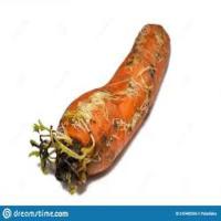 carrots project thumbnail