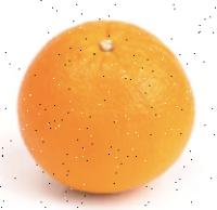 orange project thumbnail