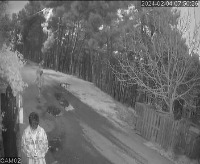 Dataset Image