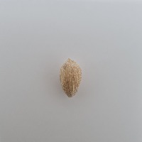 seed_detection project thumbnail