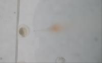 AutomatedInjection project thumbnail
